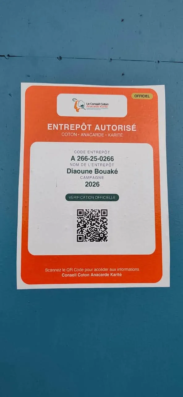detail actualites
