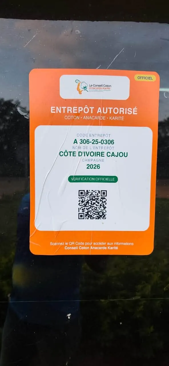 detail actualites